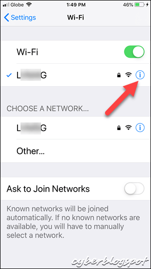iPhone screenshot showing the information icon for bringing up the network properties of the phone